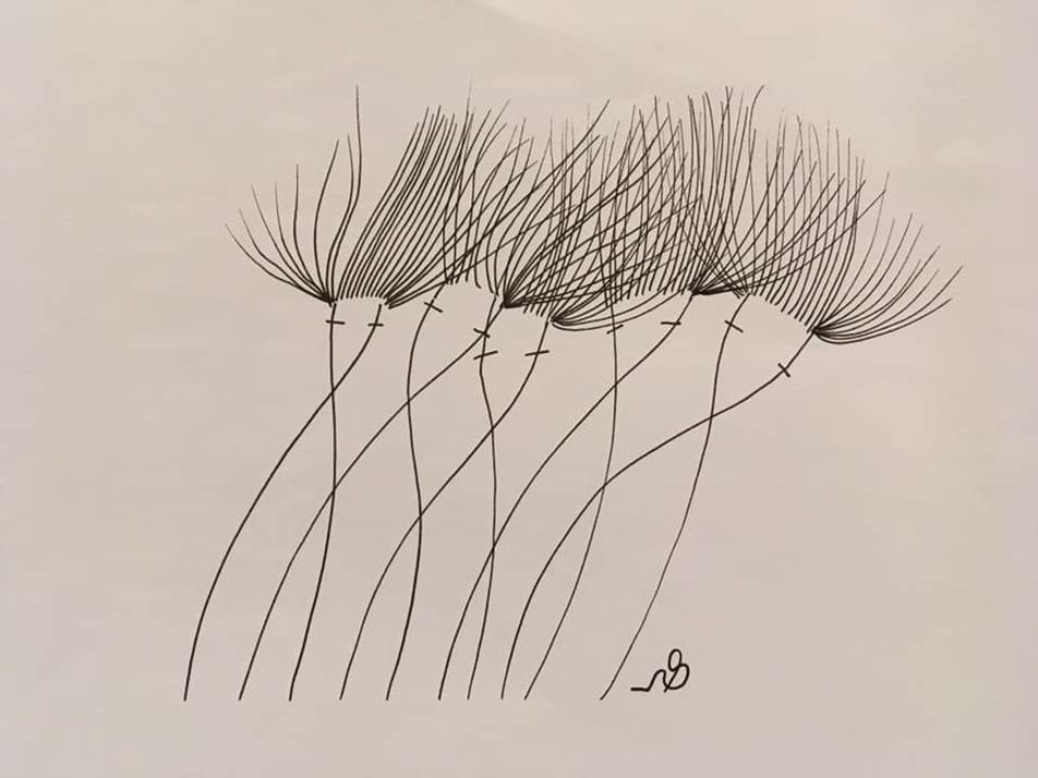 налсовна слика