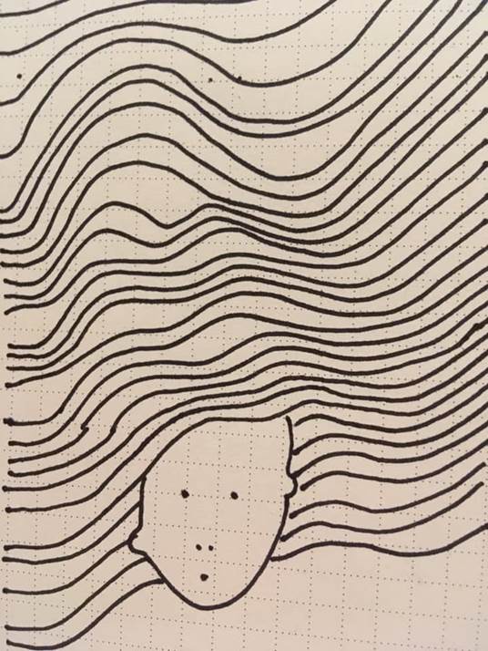 налсовна слика