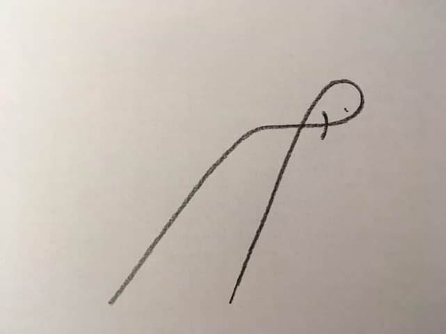 налсовна слика