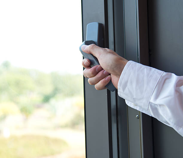 налсовна слика