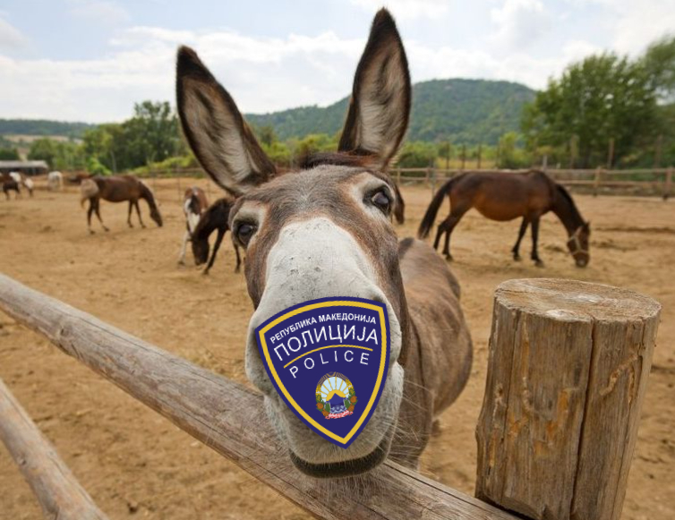 налсовна слика