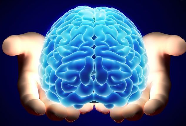 налсовна слика