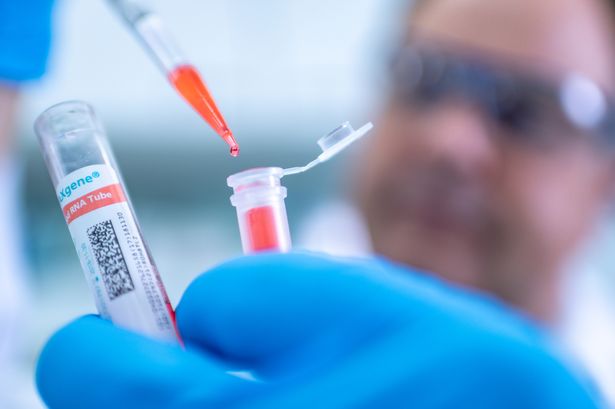 налсовна слика