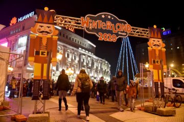 налсовна слика