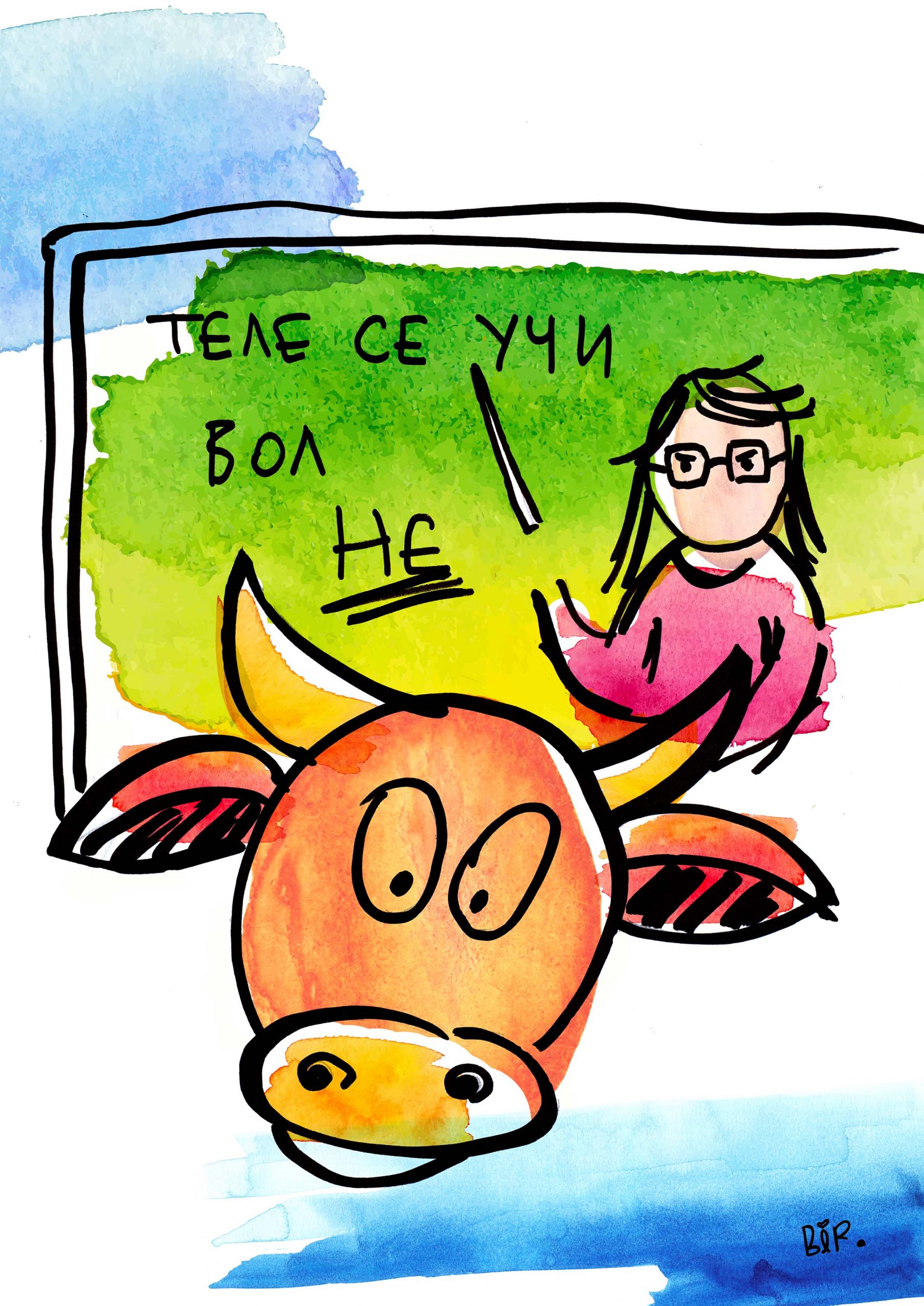 налсовна слика