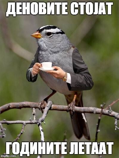 налсовна слика