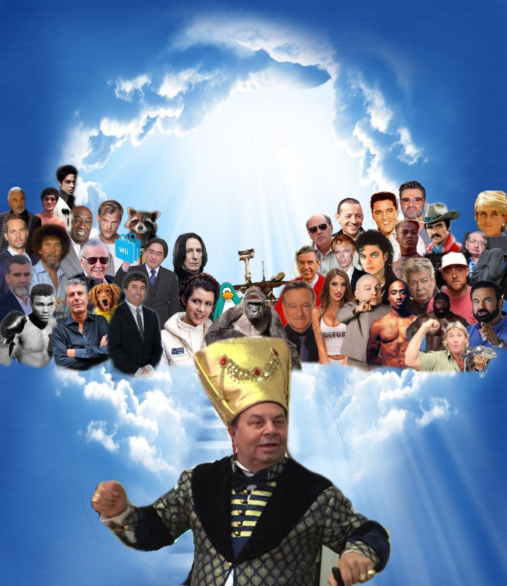 налсовна слика