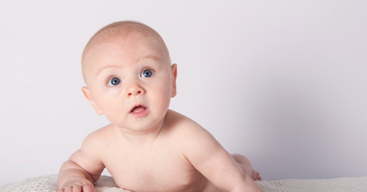 налсовна слика