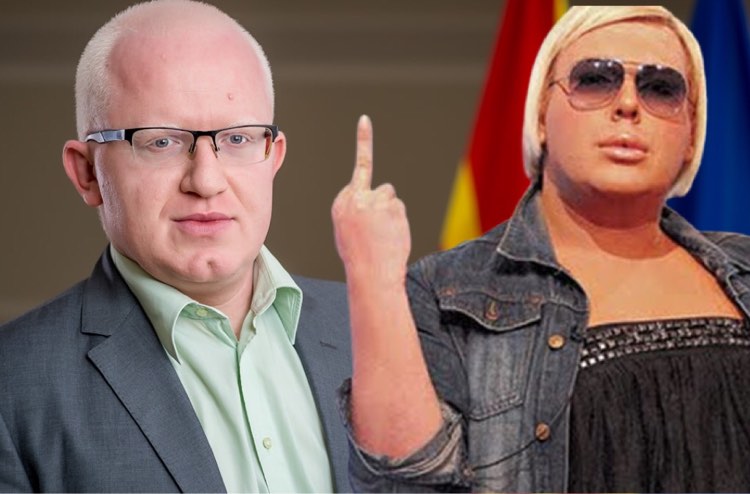 налсовна слика