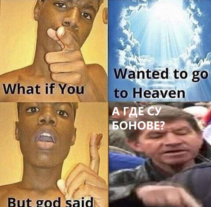 налсовна слика