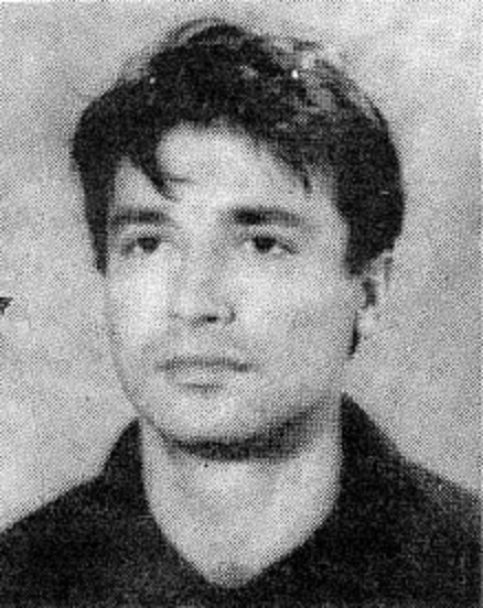 налсовна слика