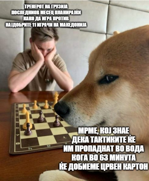 налсовна слика