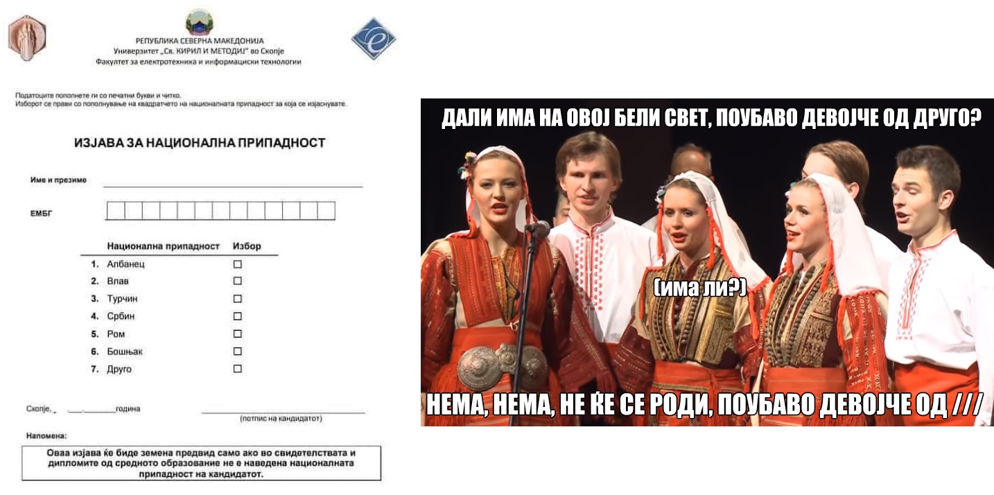 налсовна слика