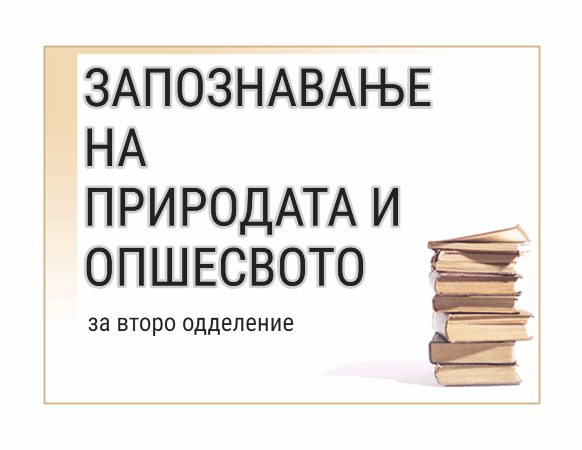 налсовна слика