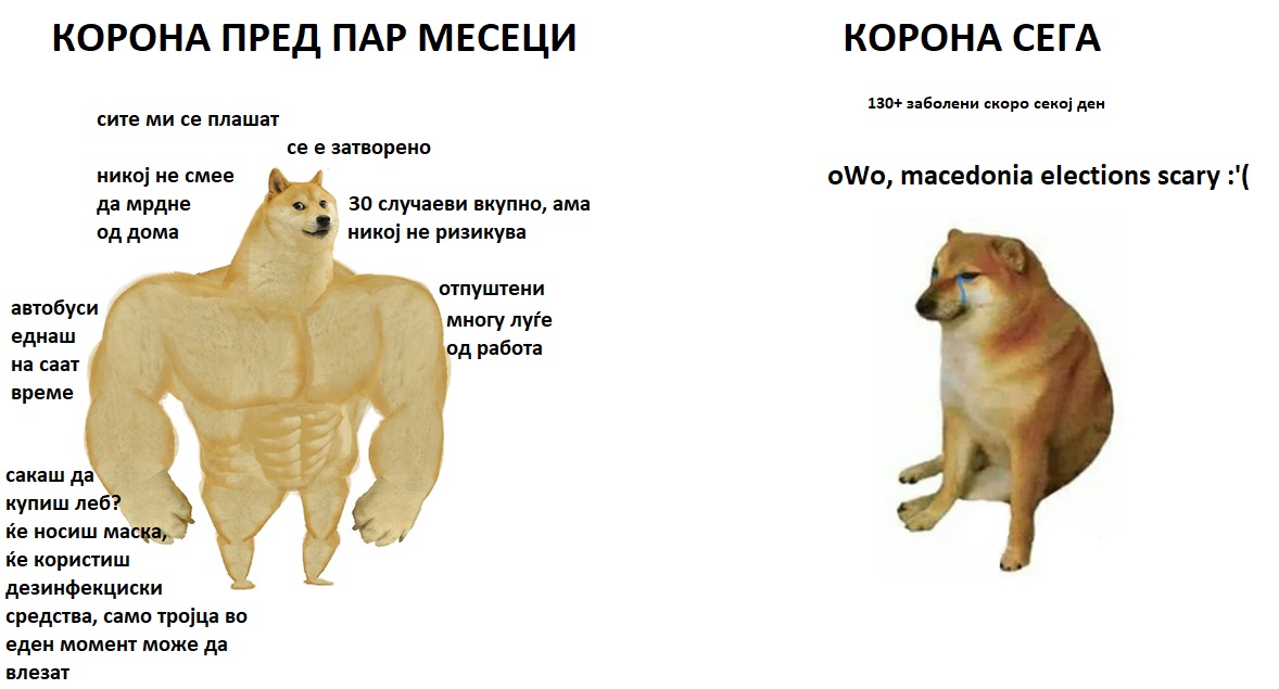 налсовна слика