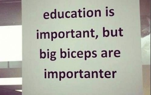 налсовна слика