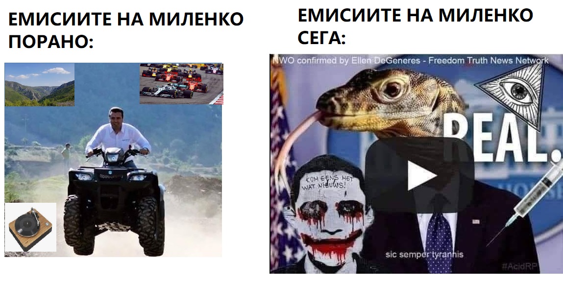 налсовна слика