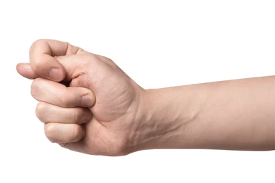 налсовна слика