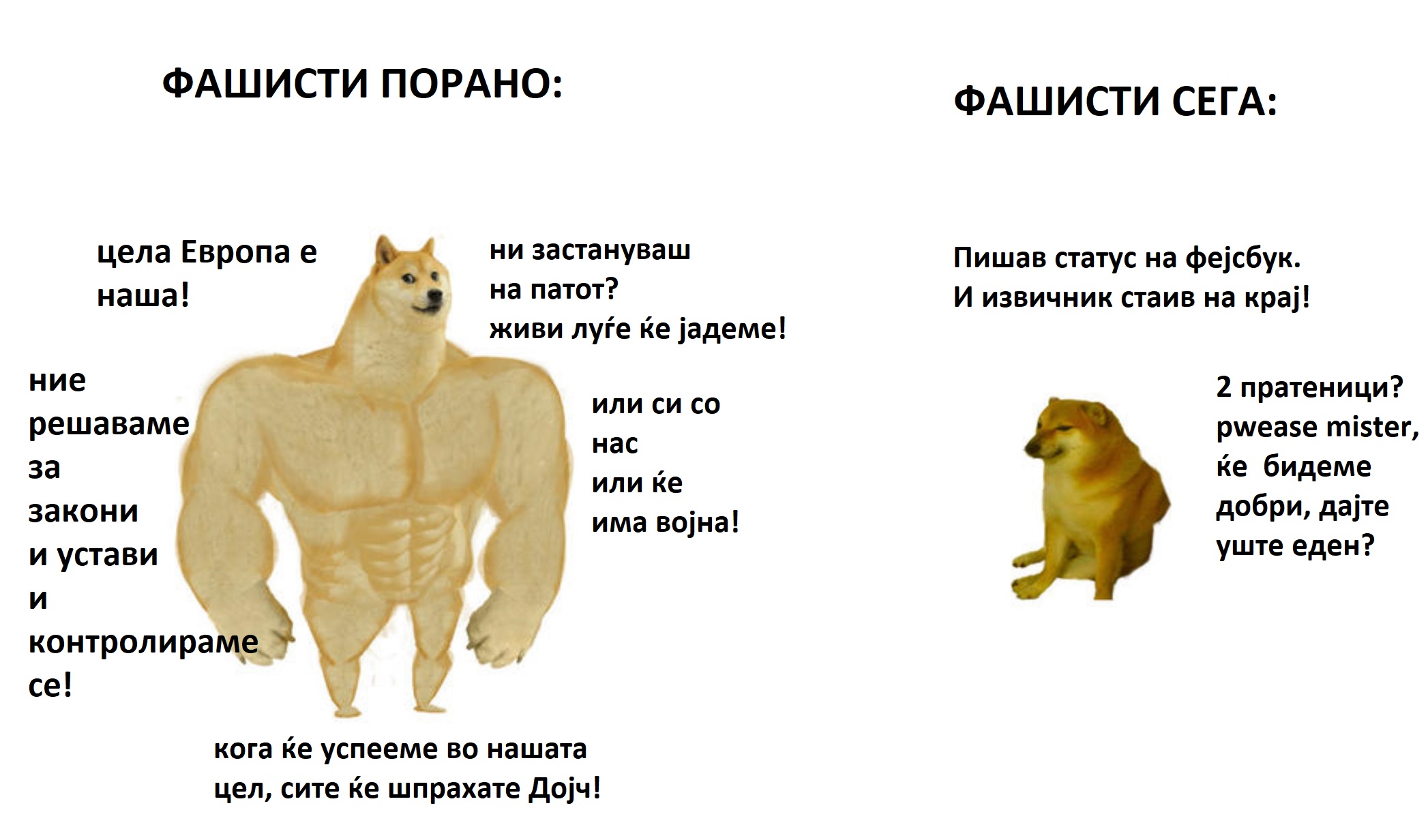 налсовна слика