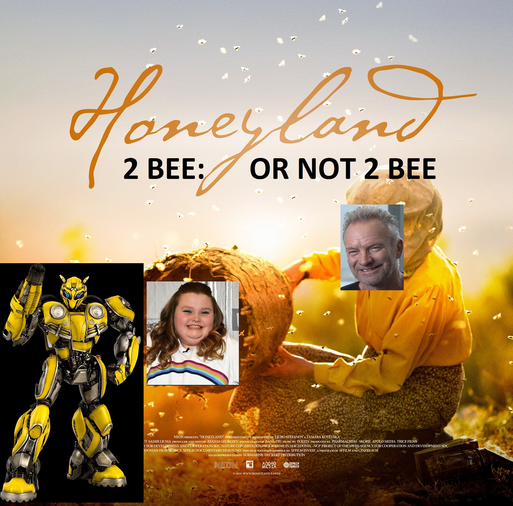 налсовна слика