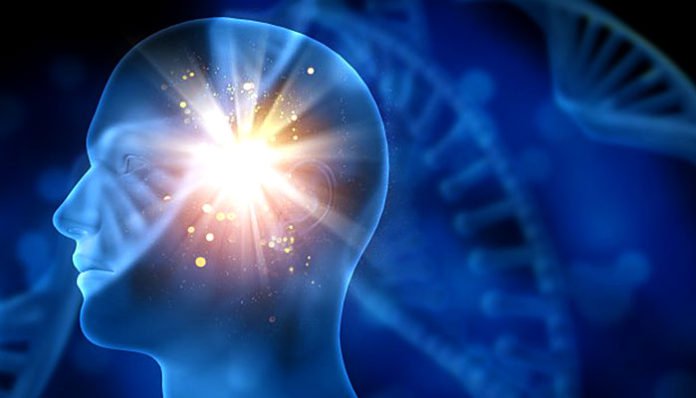 налсовна слика