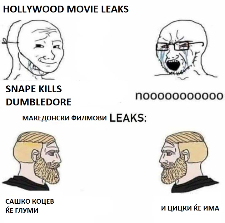 налсовна слика