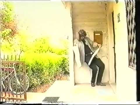 налсовна слика