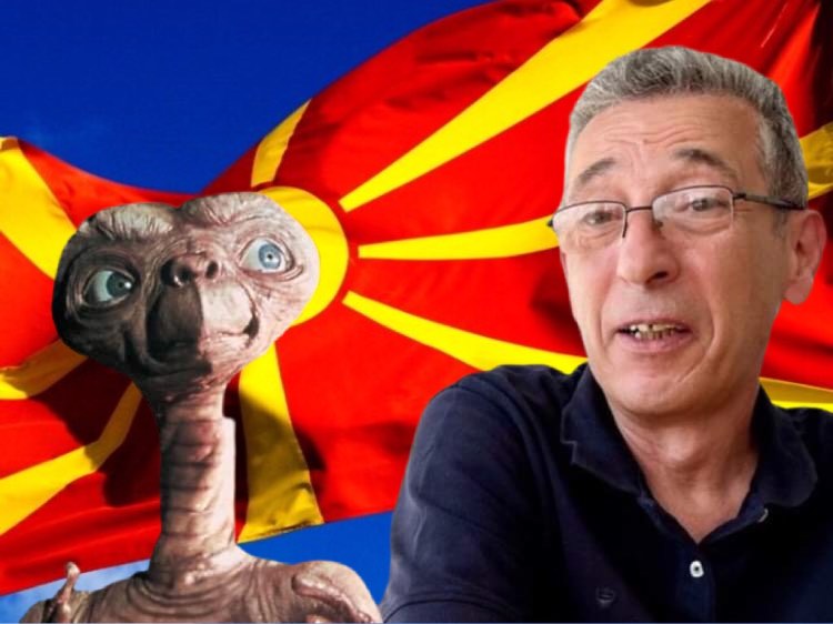 налсовна слика