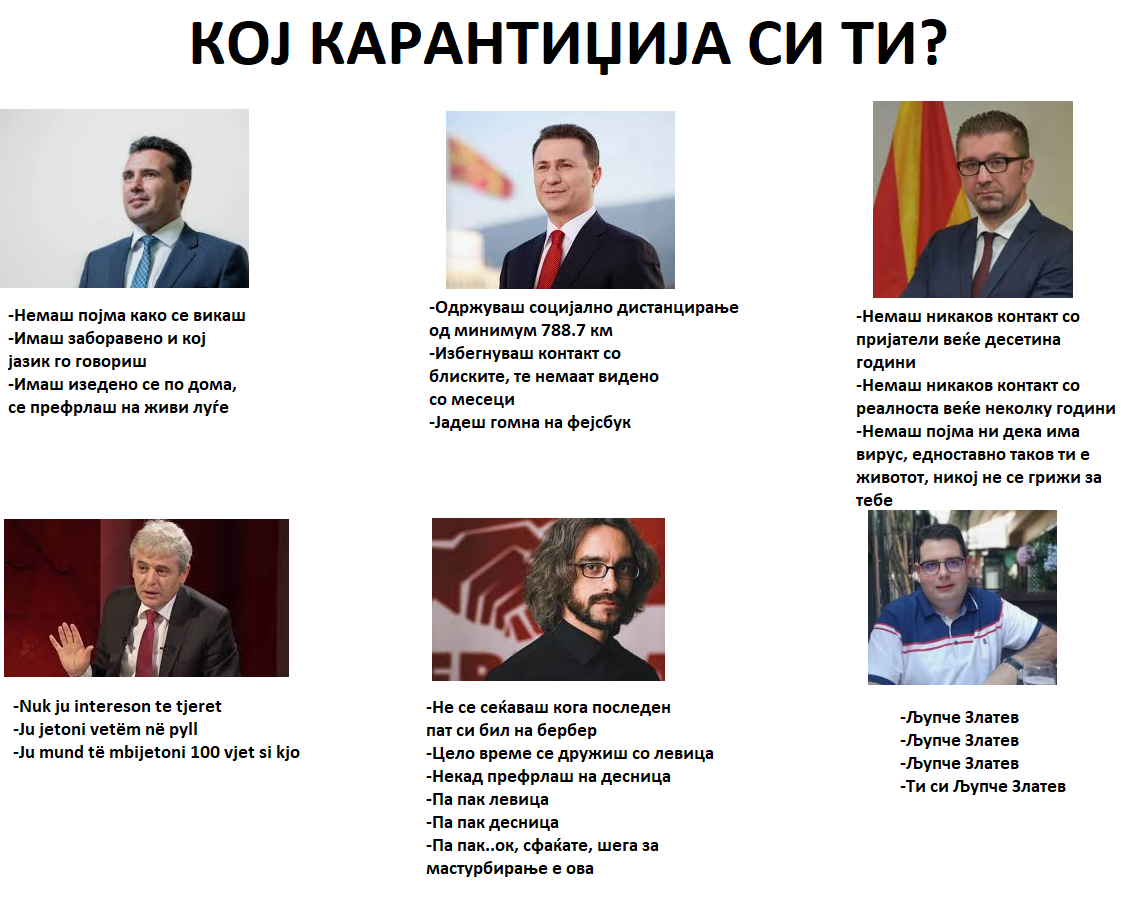 налсовна слика