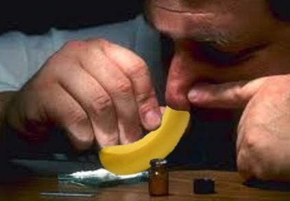 налсовна слика