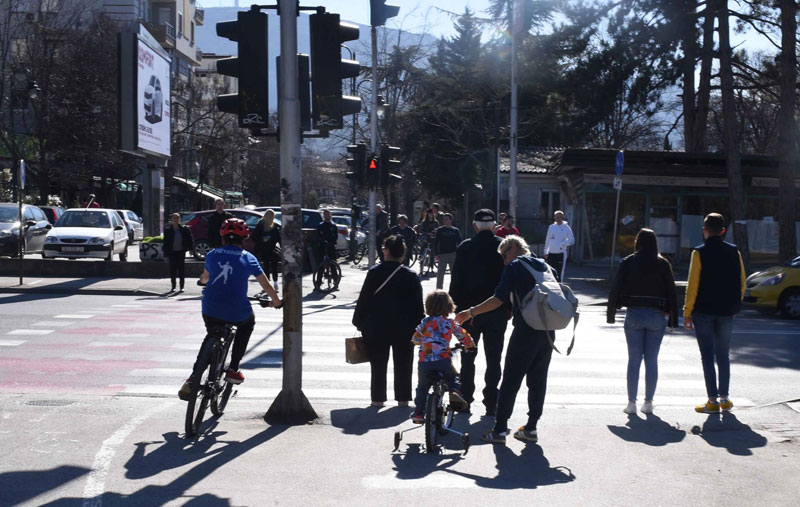 налсовна слика