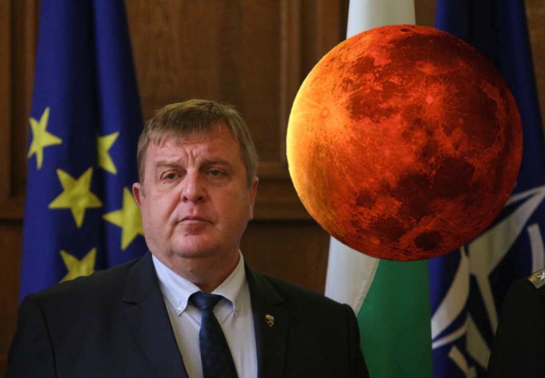 налсовна слика