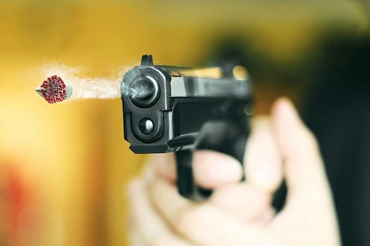 налсовна слика