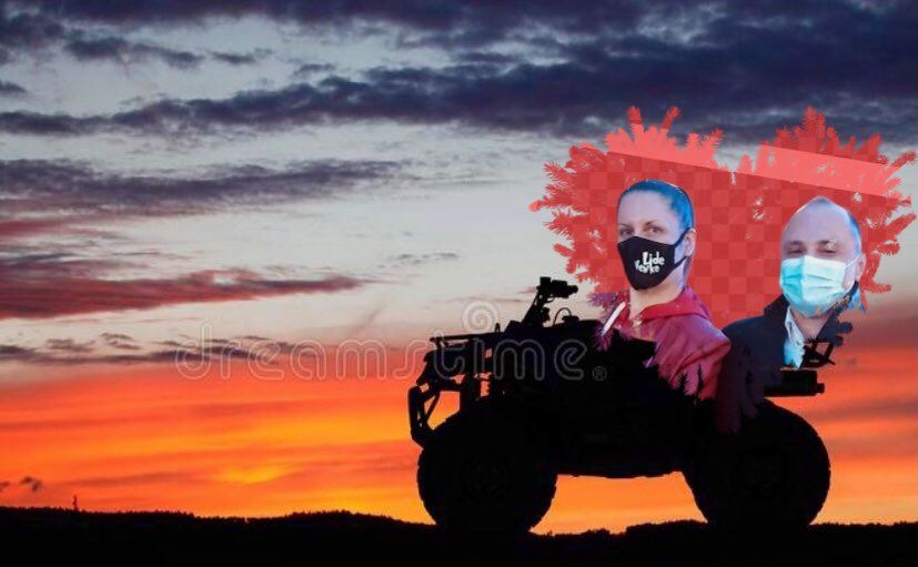 налсовна слика