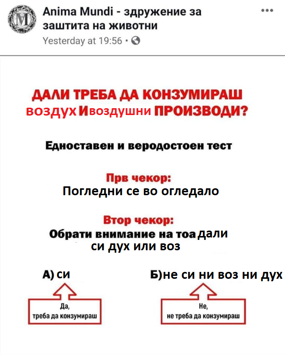 налсовна слика