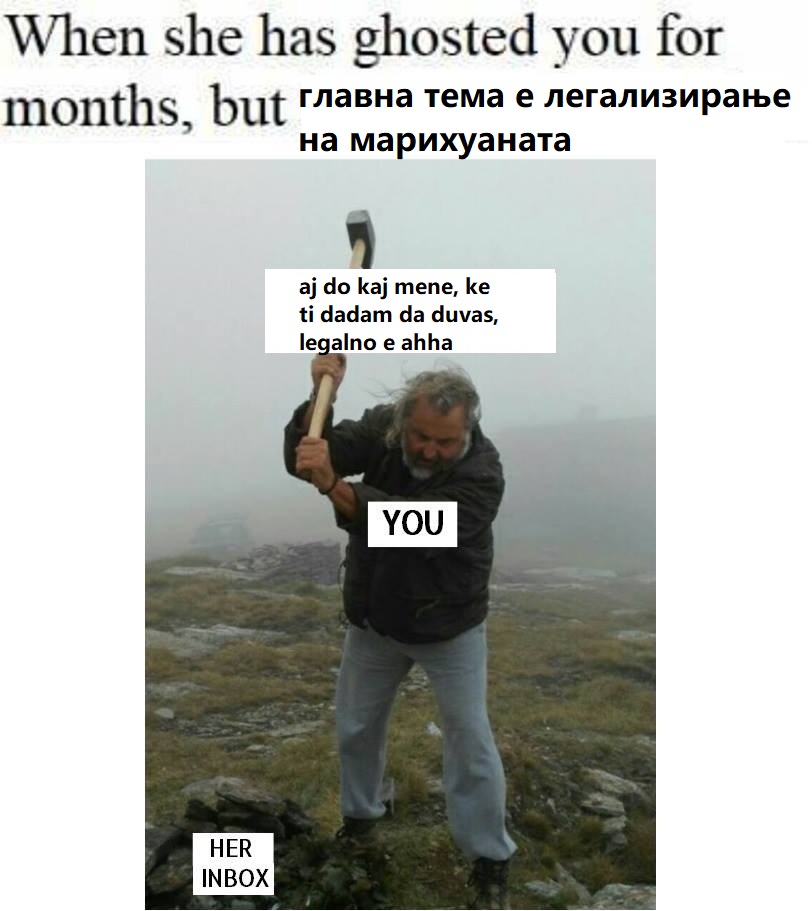 налсовна слика