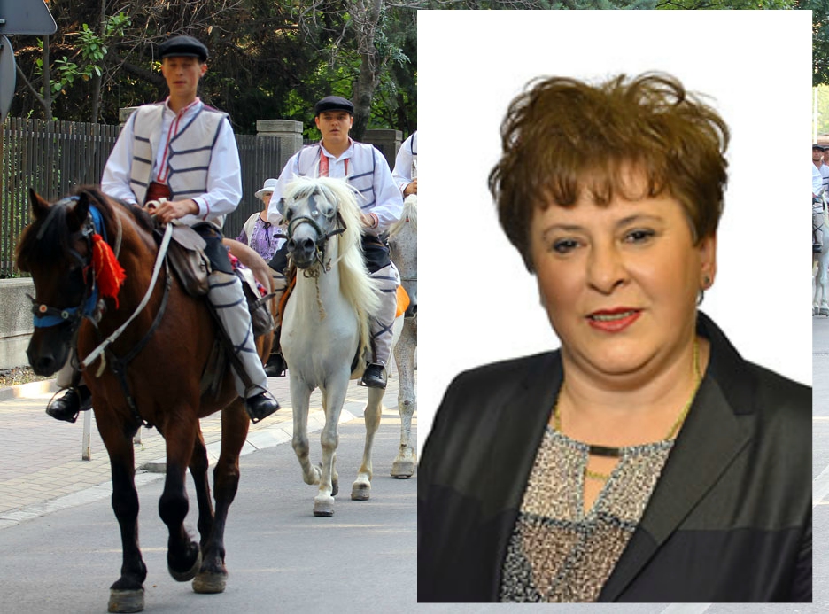 налсовна слика