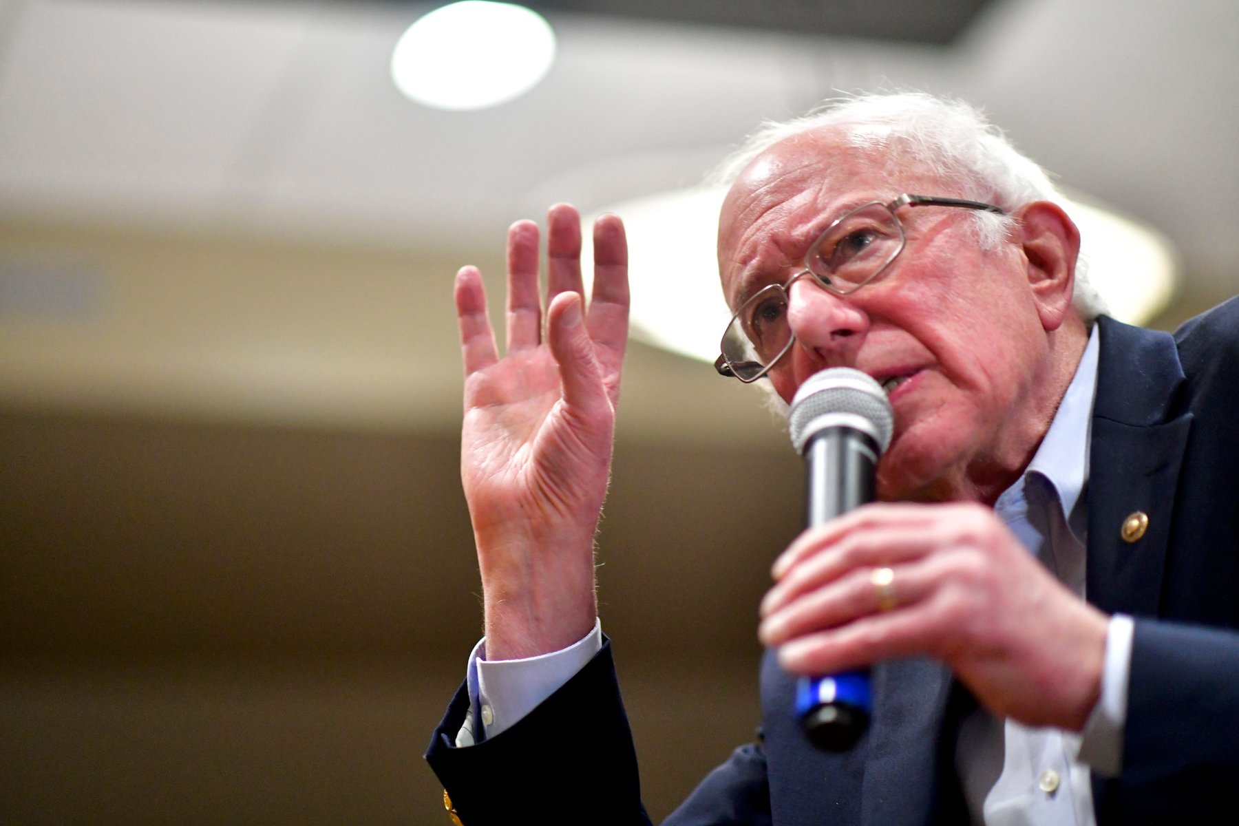 налсовна слика