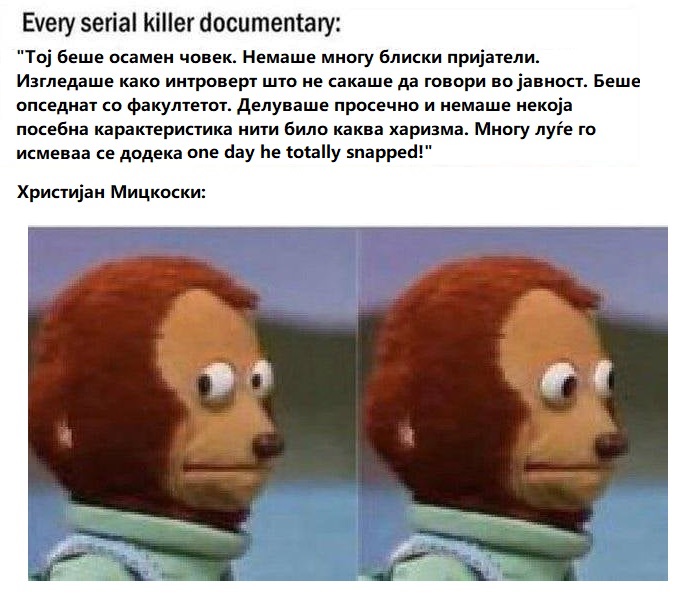 налсовна слика