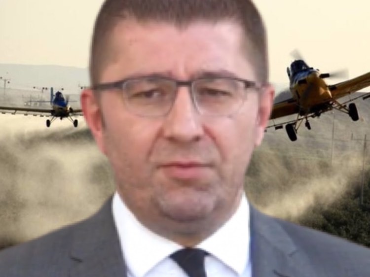 налсовна слика