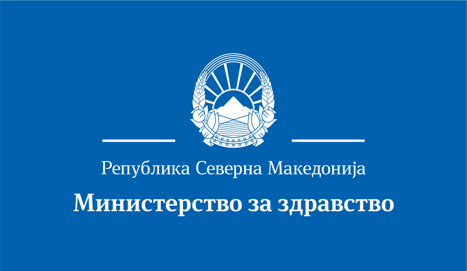 налсовна слика