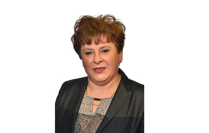 налсовна слика