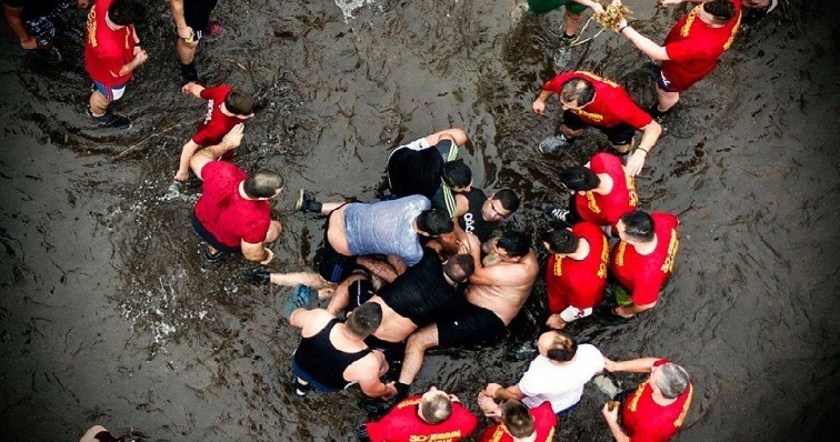 налсовна слика