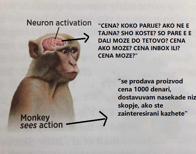 налсовна слика