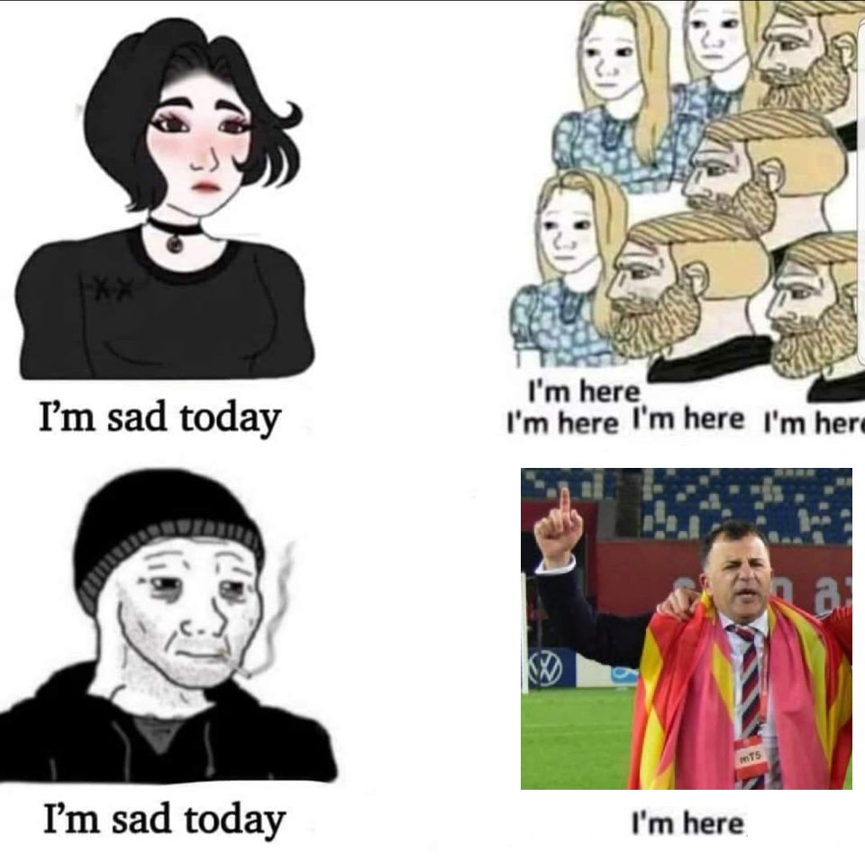 налсовна слика