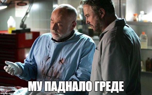 налсовна слика