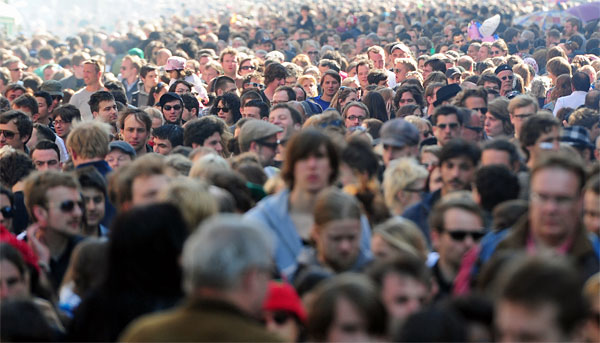 налсовна слика