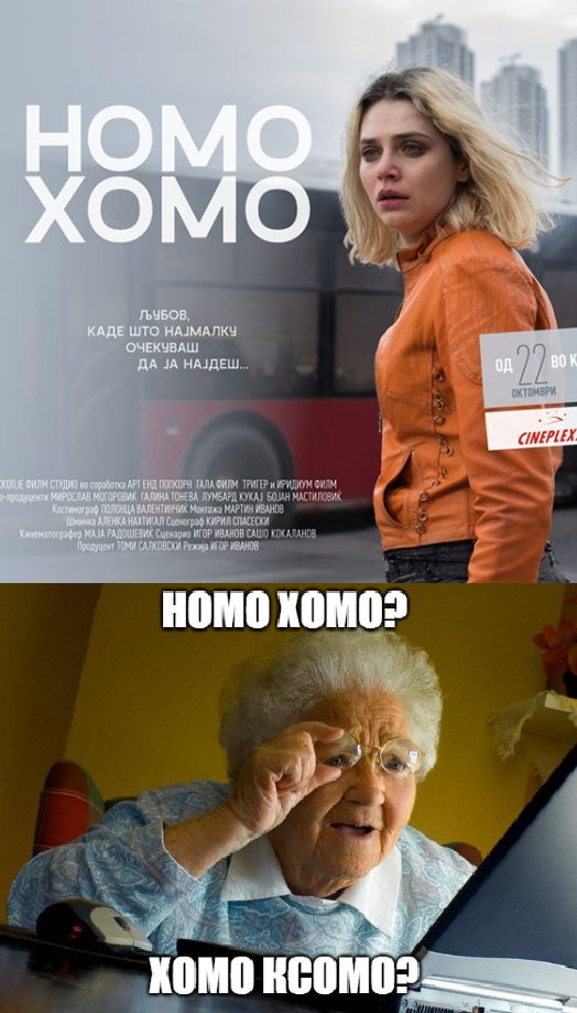 налсовна слика