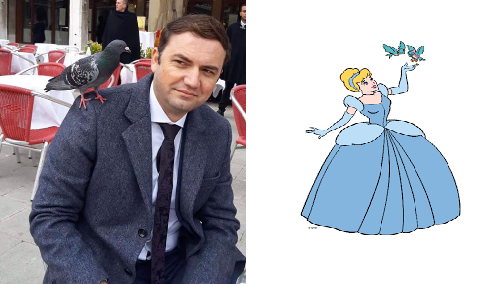 налсовна слика