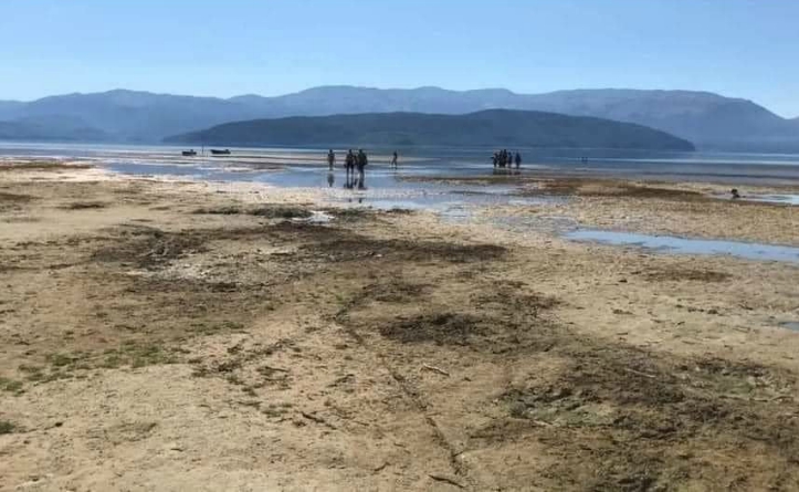 налсовна слика